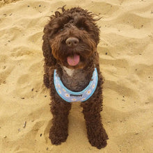 Load image into Gallery viewer, Daisy Dream Harness