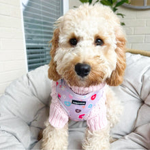 Load image into Gallery viewer, Donut Date Harness