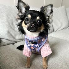 Load image into Gallery viewer, Who Let The Dogs Out Harness