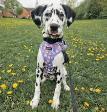 Load image into Gallery viewer, Who Let The Dogs Out Harness