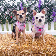 Load image into Gallery viewer, Donut Date Harness