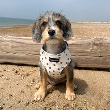 Load image into Gallery viewer, Signature Spots Harness