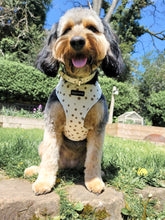 Load image into Gallery viewer, Signature Spots Harness