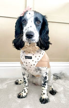 Load image into Gallery viewer, Signature Spots Harness