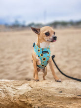 Load image into Gallery viewer, Sunflower Buzz Harness