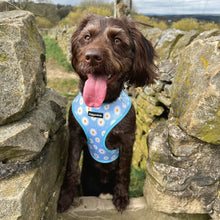 Load image into Gallery viewer, Daisy Dream Harness