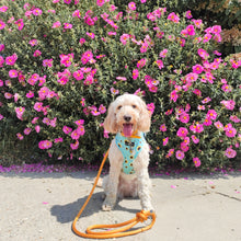 Load image into Gallery viewer, Apricot Orange Rope Lead