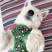 Load image into Gallery viewer, Green Leopard Harness