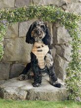 Load image into Gallery viewer, Signature Tartan Harness