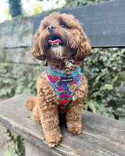 Load image into Gallery viewer, Uptown Funk Harness