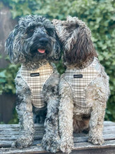Load image into Gallery viewer, Signature Tartan Harness