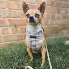 Load image into Gallery viewer, Signature Tartan Harness