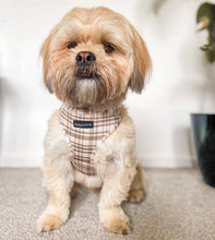 Load image into Gallery viewer, Signature Tartan Harness