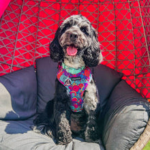 Load image into Gallery viewer, Uptown Funk Harness