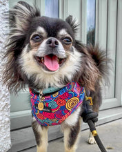 Load image into Gallery viewer, Uptown Funk Harness