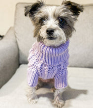 Load image into Gallery viewer, Lilac Jumper