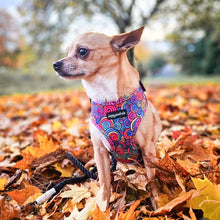 Load image into Gallery viewer, Uptown Funk Harness