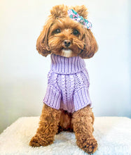 Load image into Gallery viewer, Lilac Jumper