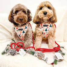 Load image into Gallery viewer, Winter Wonderland Harness