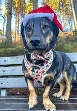 Load image into Gallery viewer, Winter Wonderland Harness