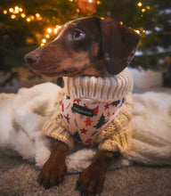 Load image into Gallery viewer, Winter Wonderland Harness