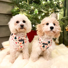 Load image into Gallery viewer, Winter Wonderland Harness