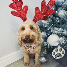 Load image into Gallery viewer, Winter Wonderland Harness