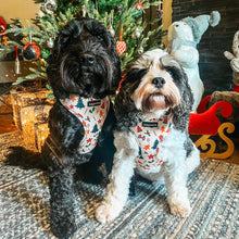 Load image into Gallery viewer, Winter Wonderland Harness
