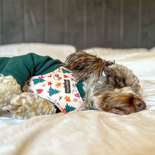 Load image into Gallery viewer, Winter Wonderland Harness