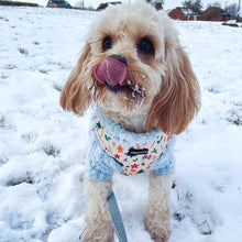 Load image into Gallery viewer, Winter Wonderland Harness