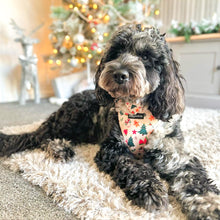 Load image into Gallery viewer, Winter Wonderland Harness