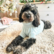 Load image into Gallery viewer, Baby Blue Jumper