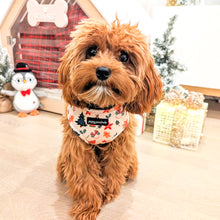 Load image into Gallery viewer, Winter Wonderland Harness