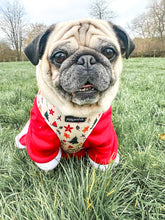 Load image into Gallery viewer, Winter Wonderland Harness