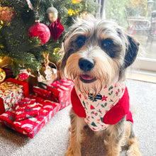 Load image into Gallery viewer, Winter Wonderland Harness