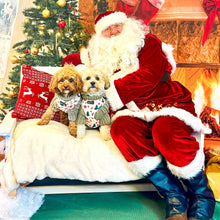 Load image into Gallery viewer, Winter Wonderland Harness