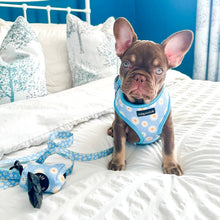 Load image into Gallery viewer, Daisy Dream Bundle