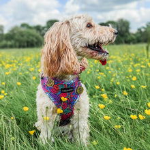 Load image into Gallery viewer, Uptown Funk Harness