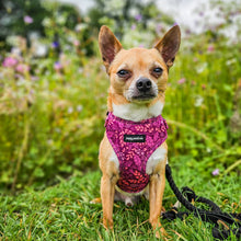 Load image into Gallery viewer, Malbec Vines Harness