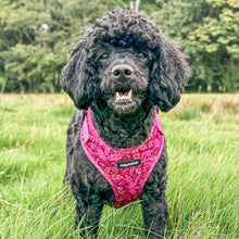 Load image into Gallery viewer, Malbec Vines Harness