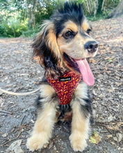 Load image into Gallery viewer, Pecan Forest Harness