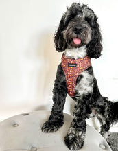 Load image into Gallery viewer, Pecan Forest Harness