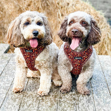 Load image into Gallery viewer, Pecan Forest Harness