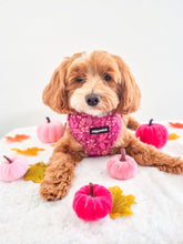 Load image into Gallery viewer, Malbec Vines Harness