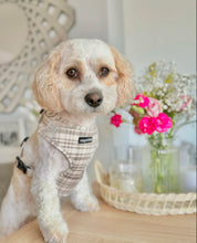 Load image into Gallery viewer, Signature Tartan Harness