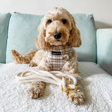 Load image into Gallery viewer, Signature Tartan Harness