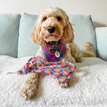 Load image into Gallery viewer, Uptown Funk Harness