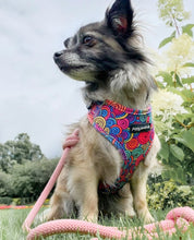 Load image into Gallery viewer, Uptown Funk Harness