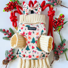 Load image into Gallery viewer, Winter Wonderland Harness