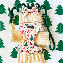 Load image into Gallery viewer, Winter Wonderland Harness
